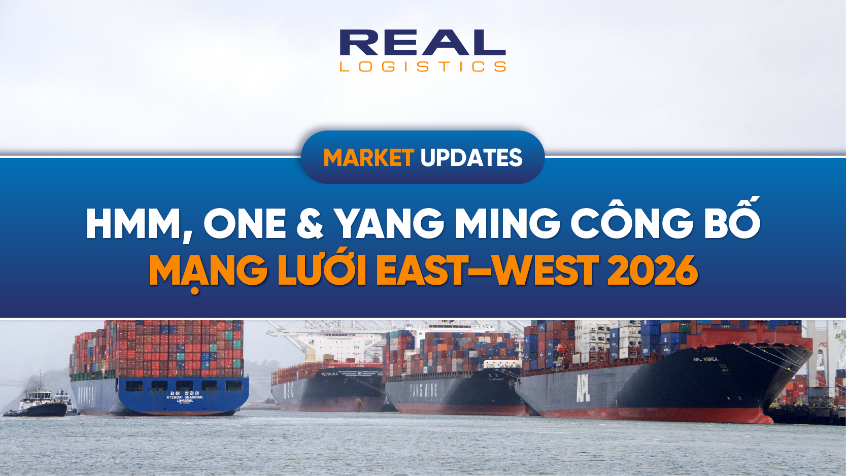 hmm one va yang ming cong bo mang luoi east west 2026 tuyen va port rotationwebp