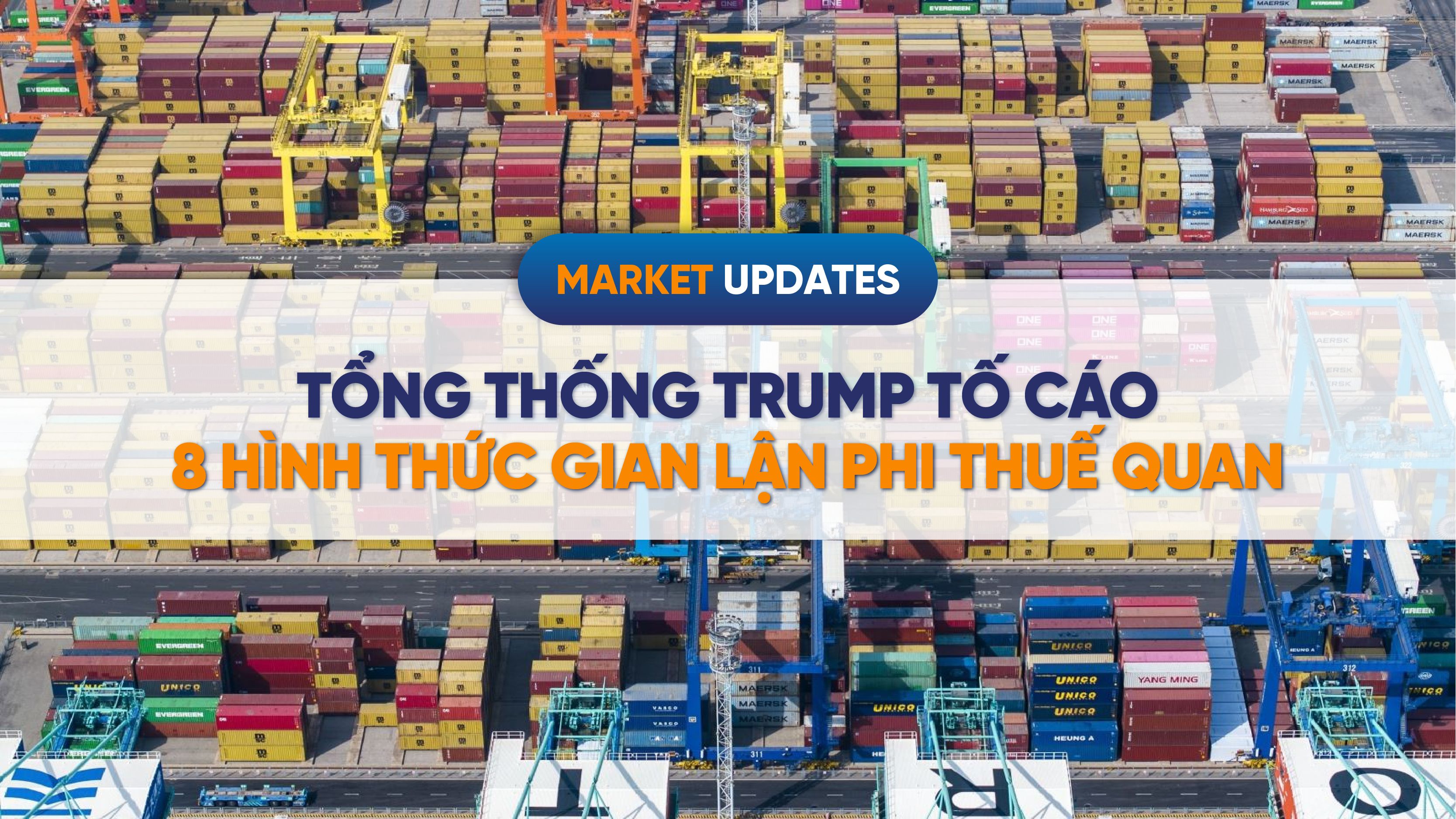 tong thong trump to cao 8 hinh thuc gian lan phi thue quan viet nam can chuan bi gi 01webp