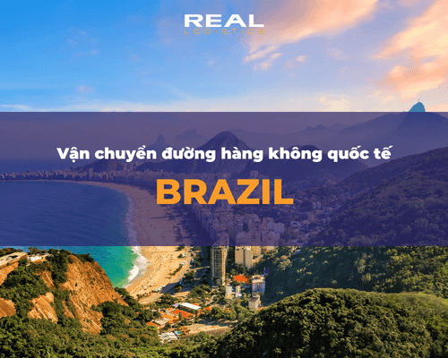 Vận Chuyển Hàng Đường Hàng Không Từ Việt Nam Đi Brazil Và Ngược Lại