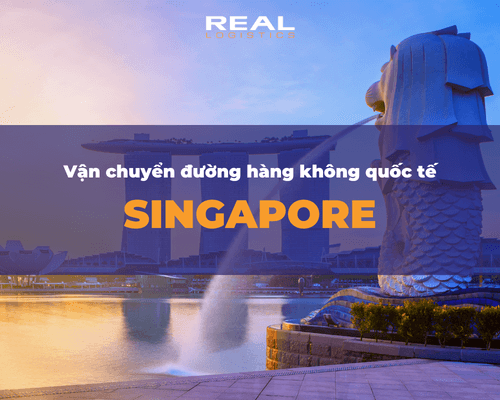 Vận Chuyển Hàng Không 2 Chiều Việt Nam và Singapore