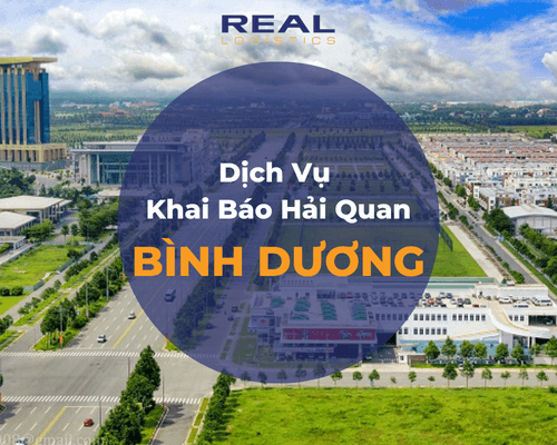 Dịch Vụ Khai Báo Hải Quan Bình Dương