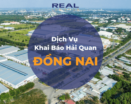 Dịch Vụ Khai Báo Hải Quan Đồng Nai