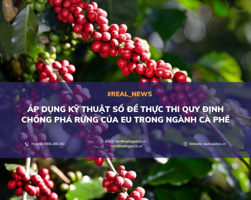 ÁP DỤNG KỸ THUẬT SỐ ĐỂ THỰC THI QUY ĐỊNH CHỐNG PHÁ RỪNG CỦA EU TRONG NGÀNH CÀ PHÊ