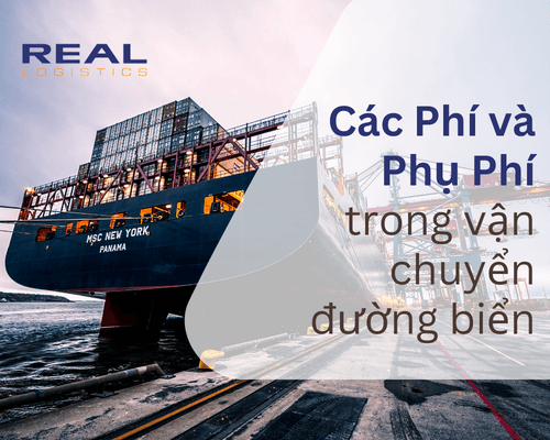 Phí Và Phụ Phí Trong Vận Chuyển Đường Biển