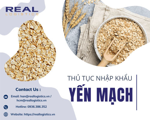 Dịch Vụ Nhập Khẩu Yến Mạch