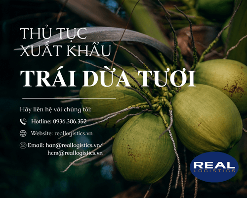 Thủ Tục Xuất Khẩu Dừa Tươi