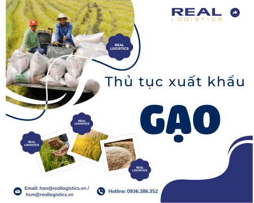 Dịch Vụ Xuất Khẩu Gạo