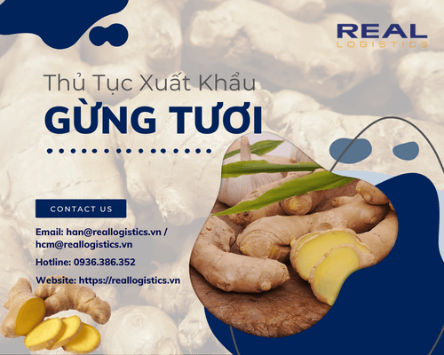 Dịch Vụ Xuất Khẩu Gừng Tươi