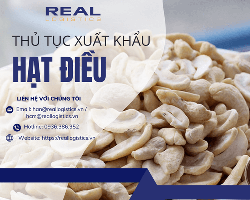 Dịch Vụ Làm Thủ Tục Xuất Khẩu Hạt Điều - Real Logistics