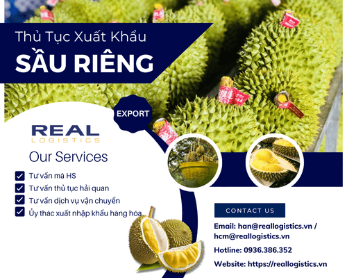 Dịch Vụ Xuất Khẩu Sầu Riêng Của Real Logistics