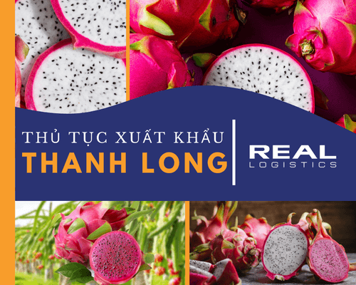 Thủ Tục Xuất Khẩu Thanh Long