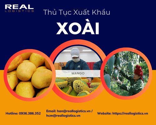 Dịch Vụ Xuất Khẩu Xoài Tươi