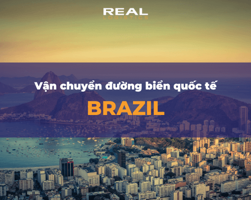 Dịch Vụ Vận Chuyển Đường Biển từ Brazil về Việt Nam Giá Rẻ