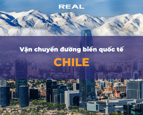 Vận Chuyển Hàng Chile Đường Biển Chuyên Tuyến Giá Rẻ