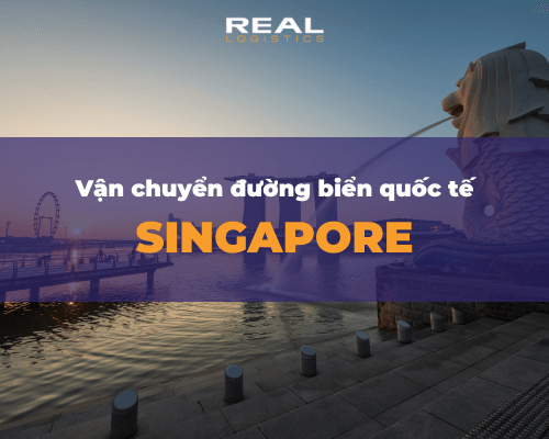 Vận Chuyển Hàng Hóa Bằng Đường Biển Đi Singapore