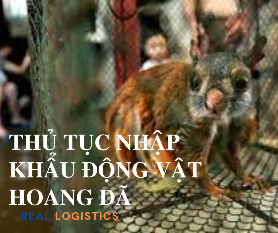 cam den anh don gian nam tinh cau trich dan hien dai bai dang facebook 1png