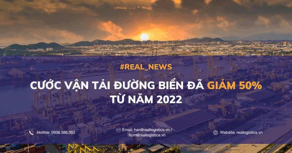 cuoc van tai duong bien da giam 50 tu nam 2022 1 0png